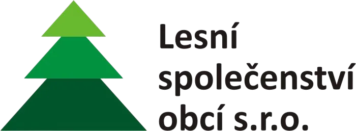 Primary Raster logo